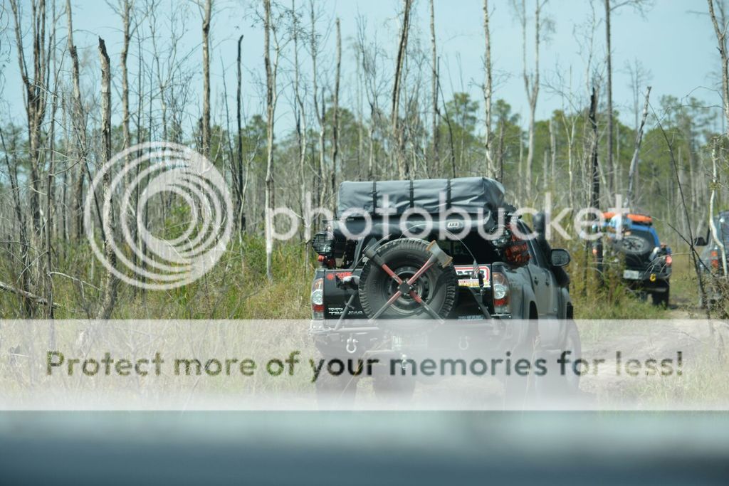 f43b8c2c21b0b04758d3732f1d2e1d8b.jpg