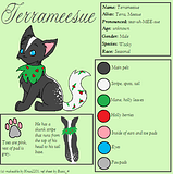 terrameesuerefsheet.png Terrameesue Ref Sheet image by basic-4