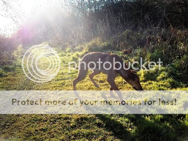 WoodstockPriory025.jpg