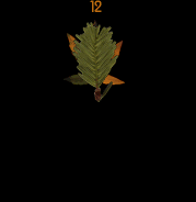 Featured Ring
