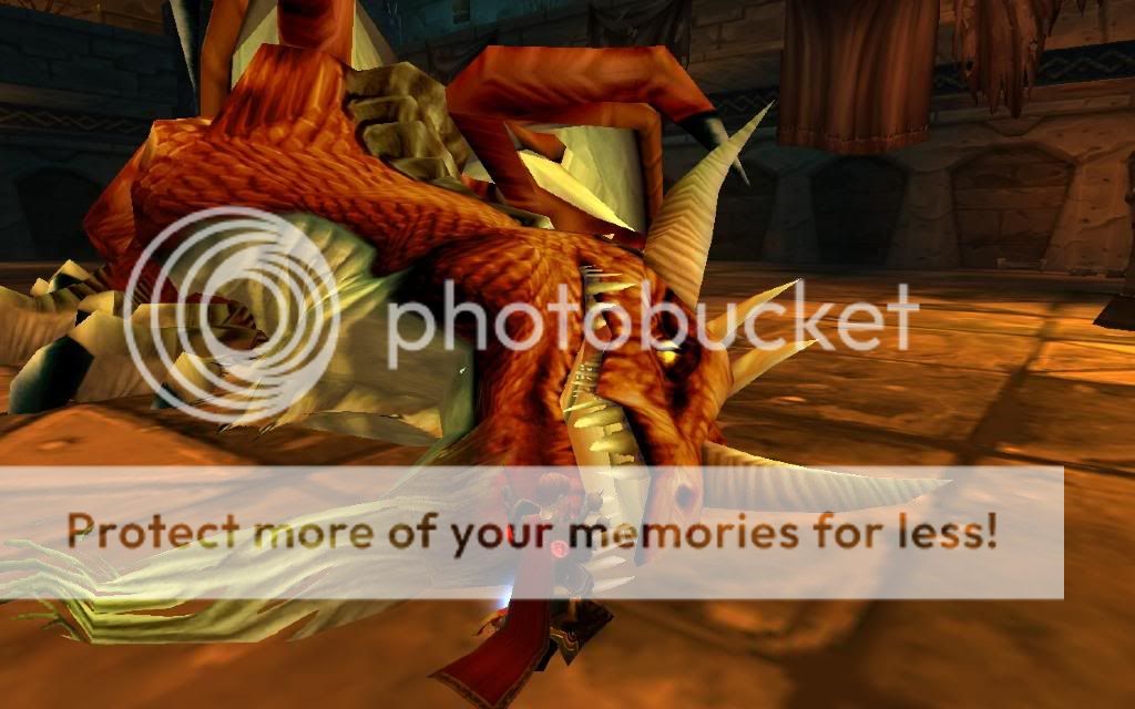 Dragon Pictures, Images and Photos