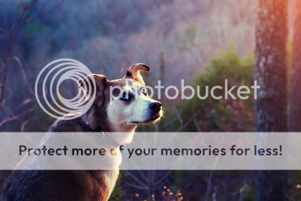 IMAGE: http://i425.photobucket.com/albums/pp339/sabarika/diaz/44C278DE-7E51-4DF2-88E0-743F544F20BA_zpsp090dfp9.jpg