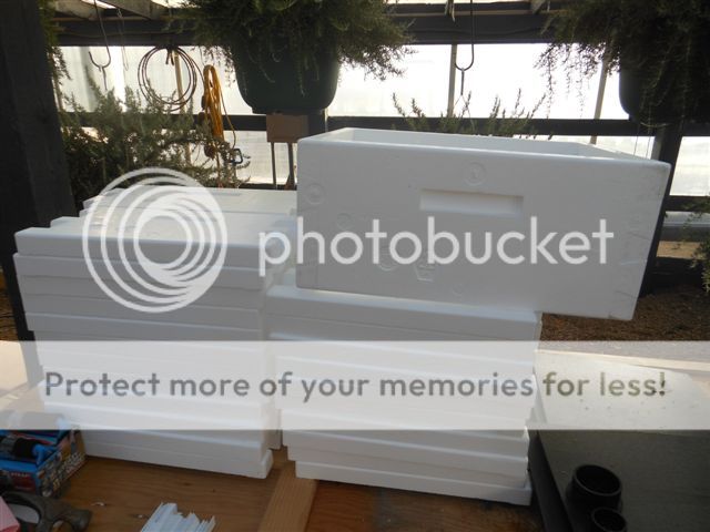 Wood hive VS polystyrene hive Wood hive VS polystyrene hive