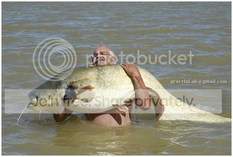 s.jpg